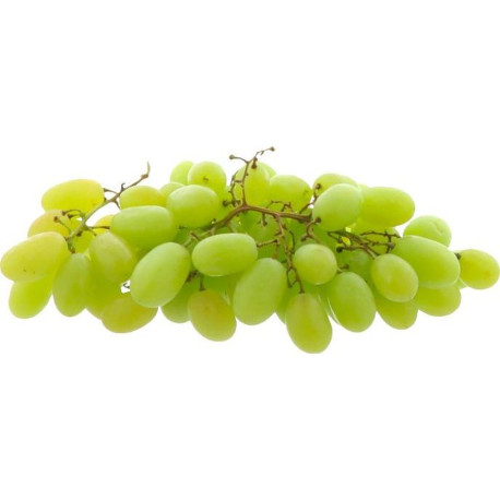 BIO RAISIN BLANC SEEDLESS SUGRAONE BARBERA 5KG
